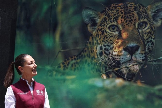 INVITA SHEINBAUM A DIVERTIRSE ESTE FIN DE SEMANA EN «ANIMALÍSTICA: FESTIVAL DEL BOSQUE» EN CHAPULTEPEC