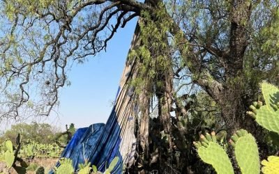 REPORTAN DOS PERSONAS FALLECIDAS Y UNA MENOR LESIONADA POR INCIDENTE CON GLOBO AEROSTÁTICO EN TEOTIHUACÁN