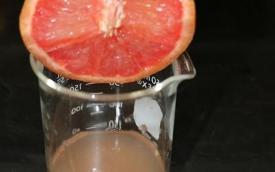 Investigadores del IPN comprueban que jugo de toronja protege contra daño testicular