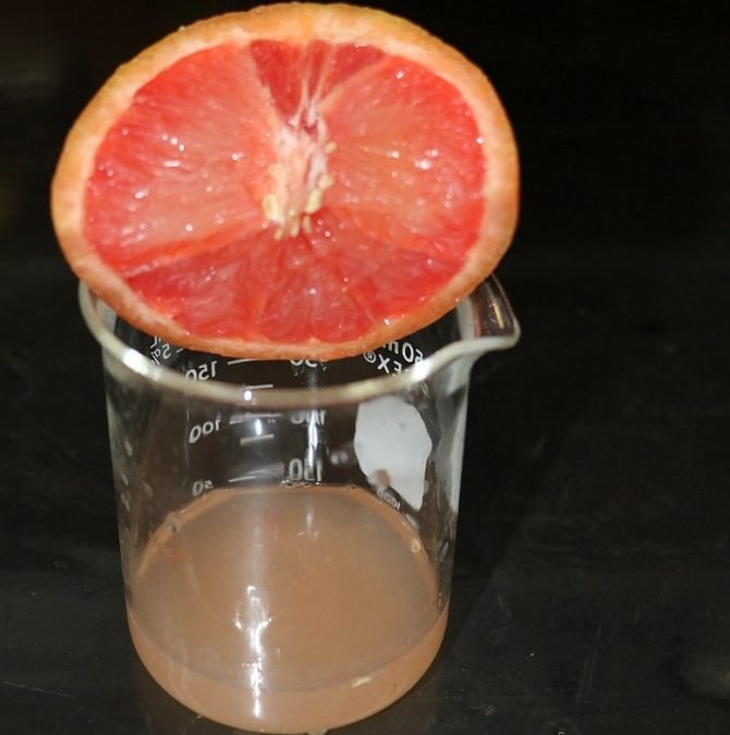 Investigadores del IPN comprueban que jugo de toronja protege contra daño testicular