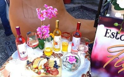 ORGANIZAN CATA DE VINOS FRUTALES EN PUNTO MÉXICO
