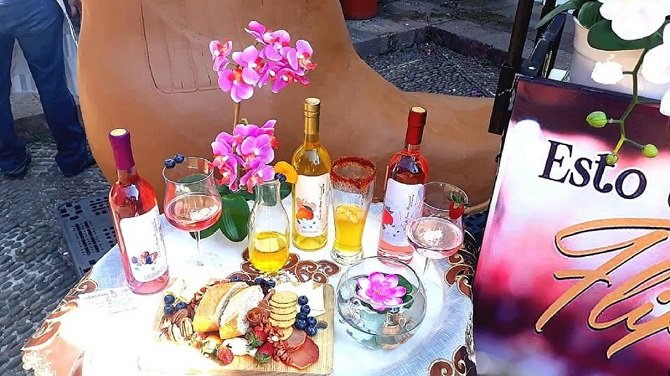 ORGANIZAN CATA DE VINOS FRUTALES EN PUNTO MÉXICO