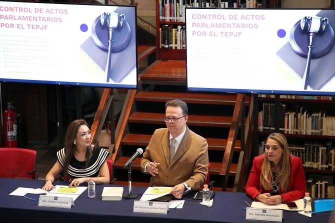 Los actos del Estado tienen que ser susceptibles de tutela judicial, incluso los parlamentarios