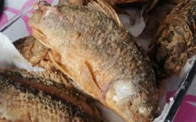 MUESTRAN GASTRONOMÍA MEXIQUENSE EN EL CENTRO CULTURAL EDOMÉX DE ATLACOMULCO
