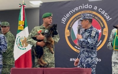 Llega a México perro rescatista donado por Turquía en honor a Proteo