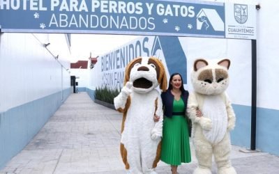 SE INAUGURA EL PRIMER HOTEL PARA PERROS Y GATOS ABANDONADOS EN LA CIUDAD DE MÉXICO: SANDRA CUEVAS