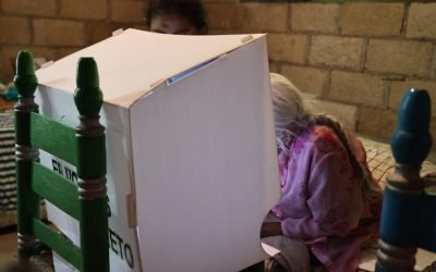 Impulsará el IECM participación de personas en estado de postración en ejercicios consultivos