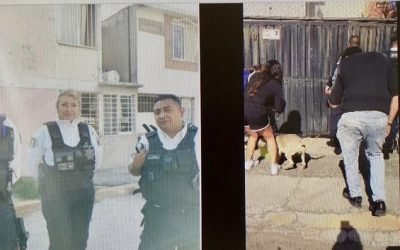 ¡Policías héroes! Salvan a perrito que casi muere por calor extremo en Neza