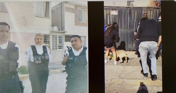 ¡Policías héroes! Salvan a perrito que casi muere por calor extremo en Neza