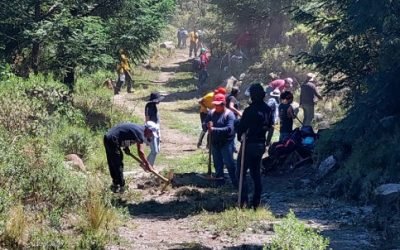 REFUERZAN BRIGADAS FORESTALES SEDEMA ACCIONES DE CONSERVACIÓN EN EL DESIERTO DE LOS LEONES