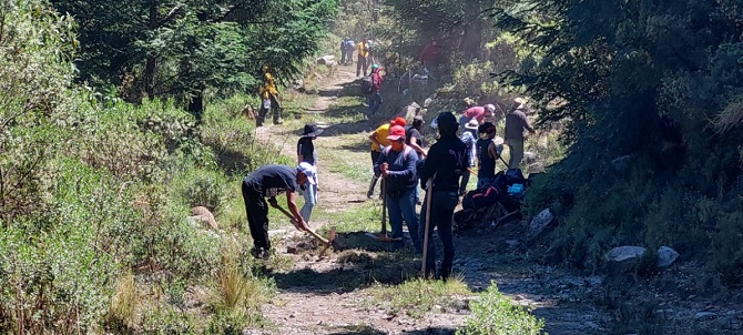 REFUERZAN BRIGADAS FORESTALES SEDEMA ACCIONES DE CONSERVACIÓN EN EL DESIERTO DE LOS LEONES