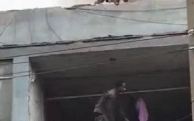 ¡Héroe! Hombre rescata a 25 perros de incendio en Perú