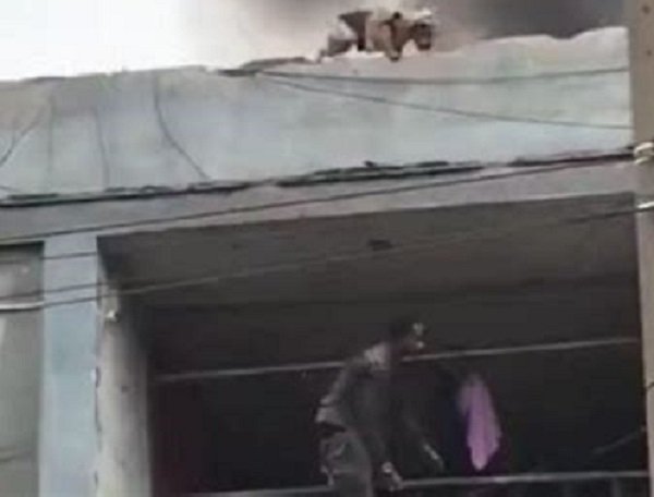 ¡Héroe! Hombre rescata a 25 perros de incendio en Perú