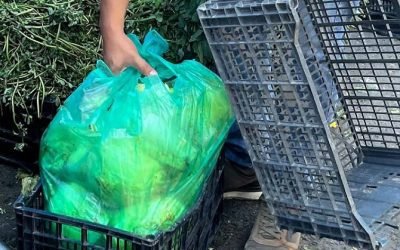DONAN COMERCIANTES MÁS DE DOS TONELADAS DE ALIMENTO PERECEDERO PARA GRUPOS VULNERABLES