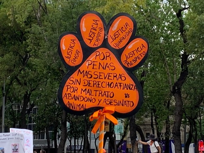 Por la defensa de los peluditos, activistas en contra del Maltrato Animal piden sanciones más severas contra agresores
