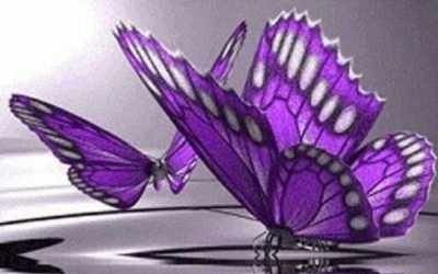 «Por nosotras, por las que ya no están, por las que nacerán»