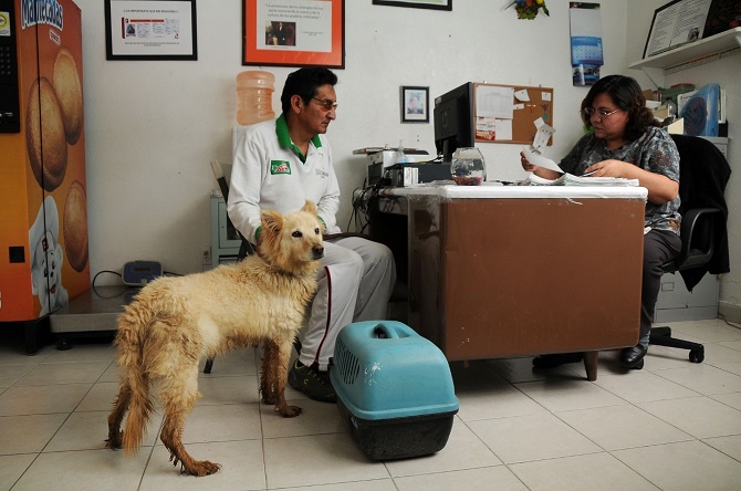 LLAMA SALUD EDOMÉX A LA POBLACIÓN A PARTICIPAR EN LA JORNADA NACIONAL DE PREVENCIÓN DE LAS RICKETTSIOSIS