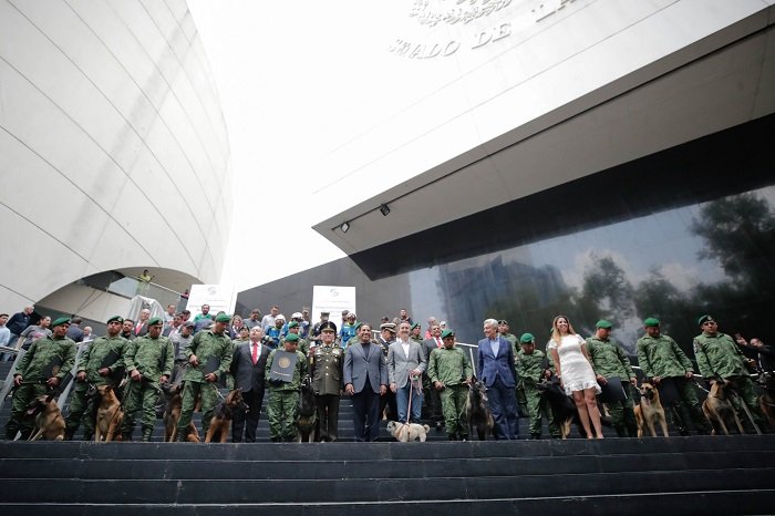 En el Día del Perro, entregan en el Senado reconocimientos a binomios caninos