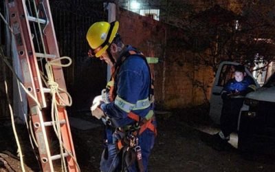 CFE restablece el 65% de las redes afectadas por el huracán Otis