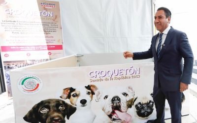Senado abre centro de acopio para llevar alimento a perritos que han padecido maltrato animal