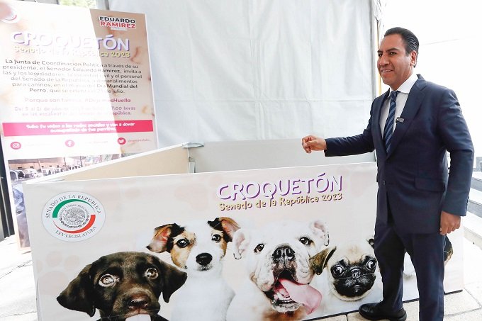 Senado abre centro de acopio para llevar alimento a perritos que han padecido maltrato animal