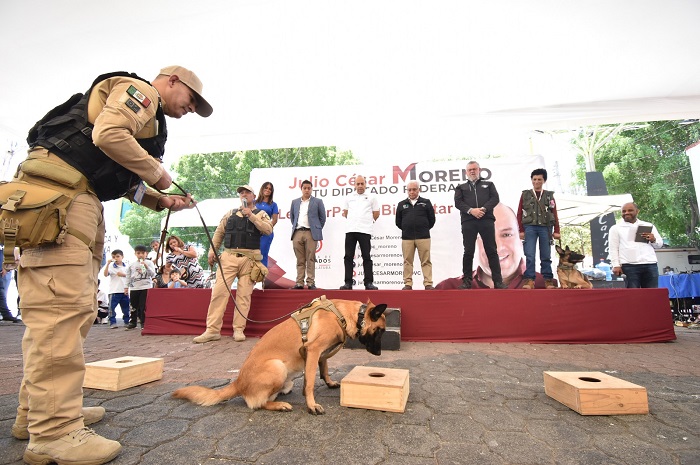 Binomios caninos de la Cámara de Diputados participan en jornada canina y felina de la alcaldía Venustiano Carranza
