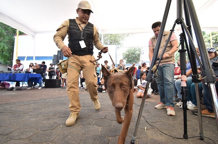 Realizan segunda jornada canina y felina con la participación de los binomios caninos de la Cámara de Diputados