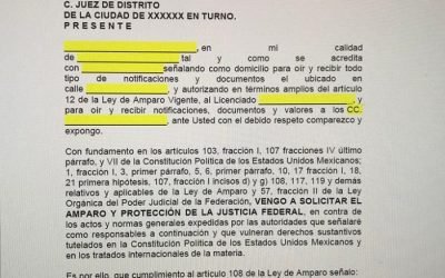 Promueve PAN en el Senado, amparos por contenido de libros de texto gratuitos