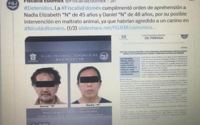 Detienen a pareja por presunta muerte del perrito “Kuko” en Nicolás Romero