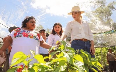 Las mujeres son transformadoras del campo yucateco