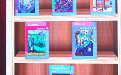Ninguna dificultad para que Libros de Texto Gratuitos se utilicen en ciclo escolar 2023-2024: Leticia Ramírez Amaya