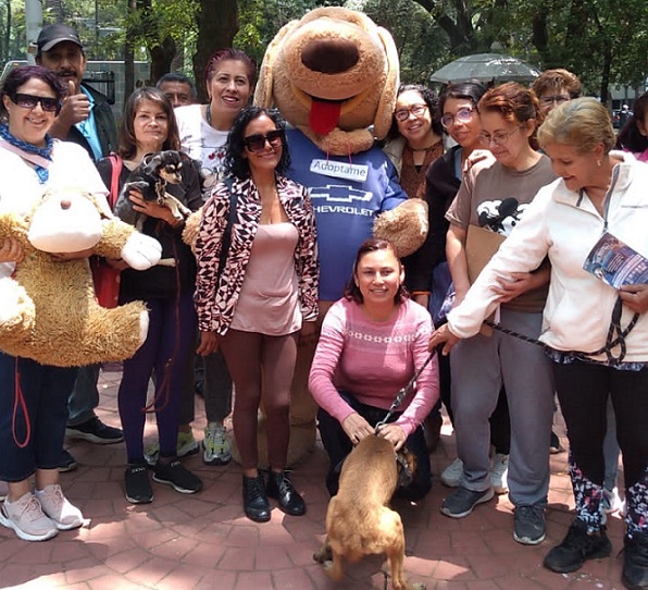 IMPIDEN PROMOCIÓN DE ADOPCIÓN DE PERROS EN EL PARQUE MEXICO.  EL GOBIERNO DE SANDRA CUEVAS CON ESTA ACCIÓN EVITA OPORTUNIDAD DE QUE PERROS DESAMPARADOS TENGAN UN HOGAR