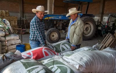 Aumenta en 10.3 millones la población en seguridad alimentaria de 2018 a 2022