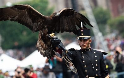 Participan más de 13 mil elementos en Desfile Militar del 16 de septiembre