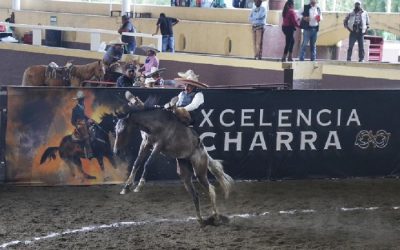 Refuerzan seguridad en Feria Internacional del Caballo; informan que no hay lesionados tras agresiones de espectadores a artista