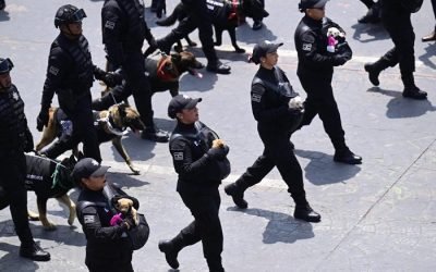 Sólo 15 entidades cumplen con las funciones policiales establecidas en la ley, señala estudio del IBD