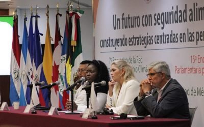 La seguridad alimentaria es un Derecho Humano fundamental y un pilar crucial para el desarrollo sostenible: Camino