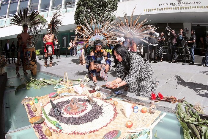 Defender decreto del Ejecutivo que prohíbe importación de maíz transgénico llama Ana Lilia Rivera