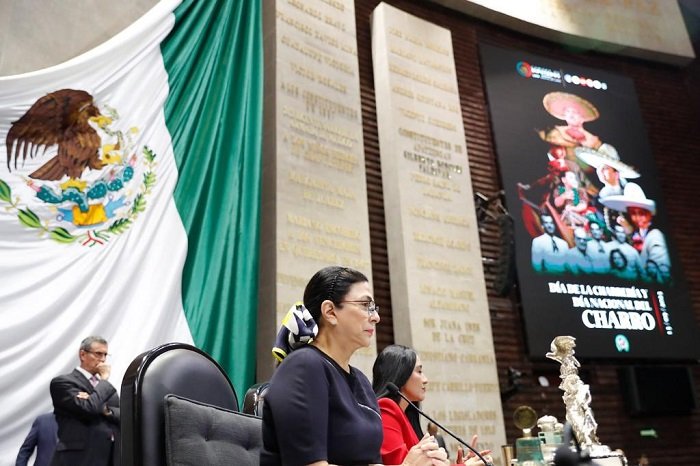 Imperativo iniciar el debate para robustecer a los organismos constitucionales autónomos, considera la diputada Marcela Guerra