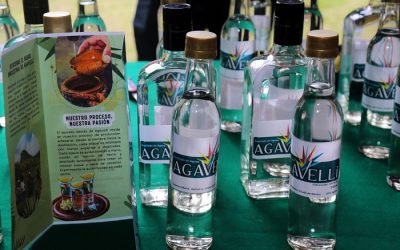 CHARLAN DEL MEZCAL ARTESANAL EN EL MUSEO HACIENDA LA PILA