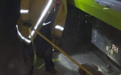 PROTECCIÓN CIVIL DEL METRO LOGRA RESCATE DE CAN QUE INGRESÓ A VÍAS DE LÍNEA 12