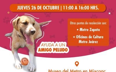 Bye Bye Friend te invita a participar en el CROQUETÓN del Centro de Transferencia Canina del Sistema de Transporte Colectivo Metro