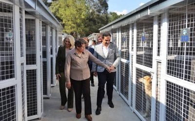 “Dará Estado de México trato humanitario a animales de compañía”; Gobernadora Delfina Gómez inaugura el Centro de Atención y Protección Animal “HuixquiCan”