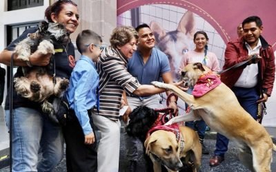 ¡Que la Navidad sea un acto de amor para los seres sintientes!