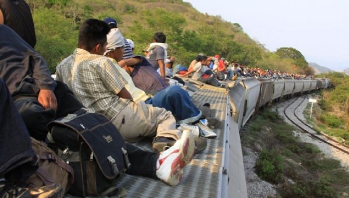 Anuncia ONG amparos masivos para impedir la deportación de migrantes