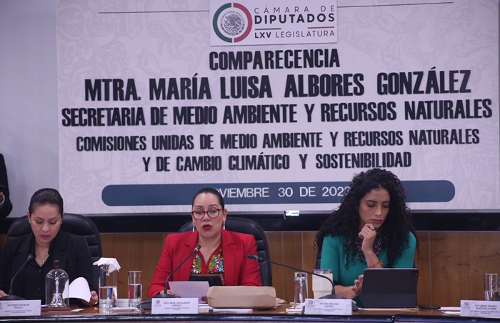 En regla y legal, la construcción del Tren Maya, afirma María Luisa Albores, titular SEMARNAT
