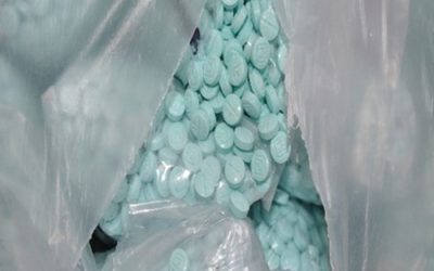 FGR destruye pastillas de fentanilo y narcóticos y sustancias químicas