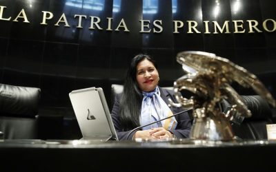 Continuar lucha por la igualdad de género y no bajar la guardia: Senadora Rivera