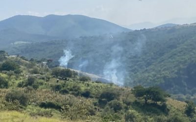 Mueren 4 en desplome de aeronave en Morelos