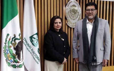 Mónica Aralí Soto Fregoso, sustituirá a Reyes Rodríguez al frente del TEPJF